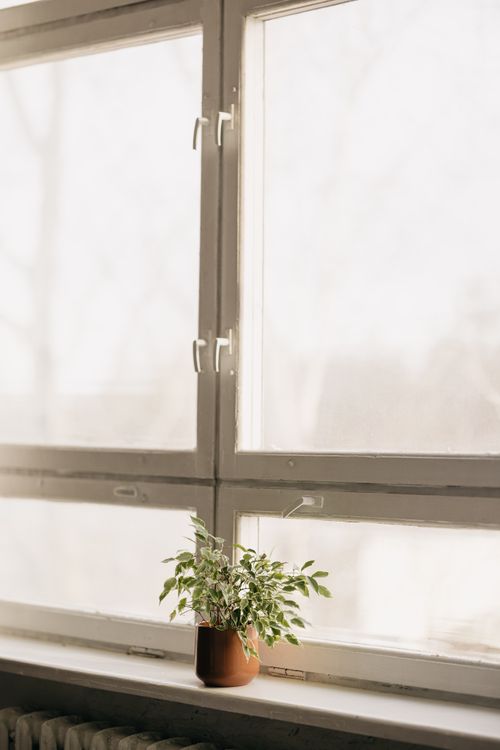 Bright living room with fresh air and plants