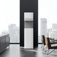 Coway CHPI-5820L Ice Stand 3.0 with ice water dispenser