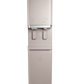 Coway CHPI-620L Hot Cold Ice Water Purifier
